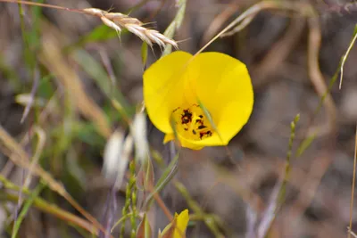 DSC_6897 (Large).JPG